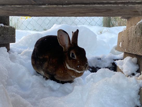 WhatsApp Image 2023-12-03 at 13.01.45 (3)