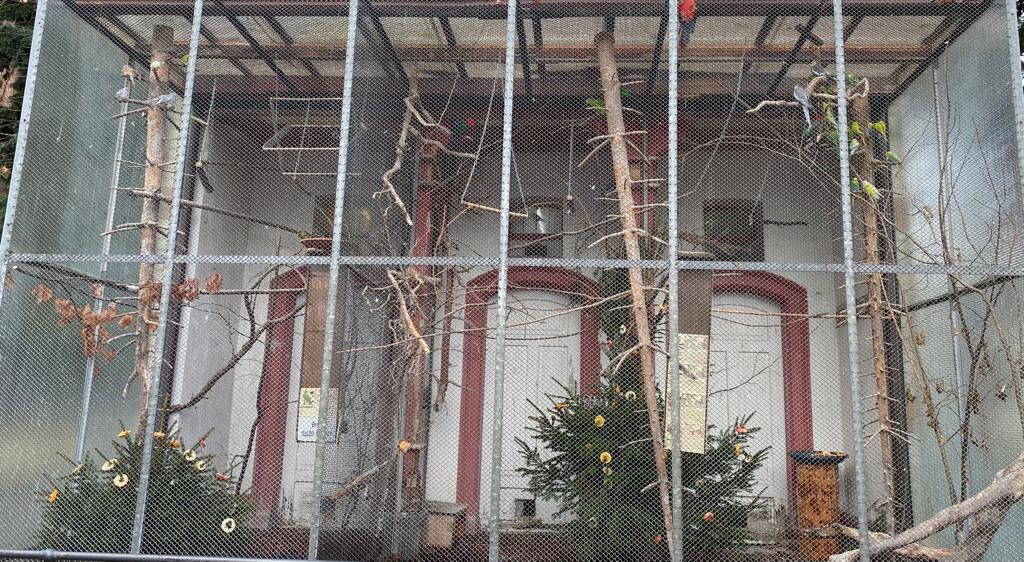 whatsapp_image_2023-12-20_at_10.43.21.jpeg whatsapp_image_2023-12-20_at_10.43.21.jpeg