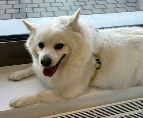 whatsapp_image_2025-11-09_at_17.53.41.jpeg whatsapp_image_2025-11-09_at_17.53.41.jpeg