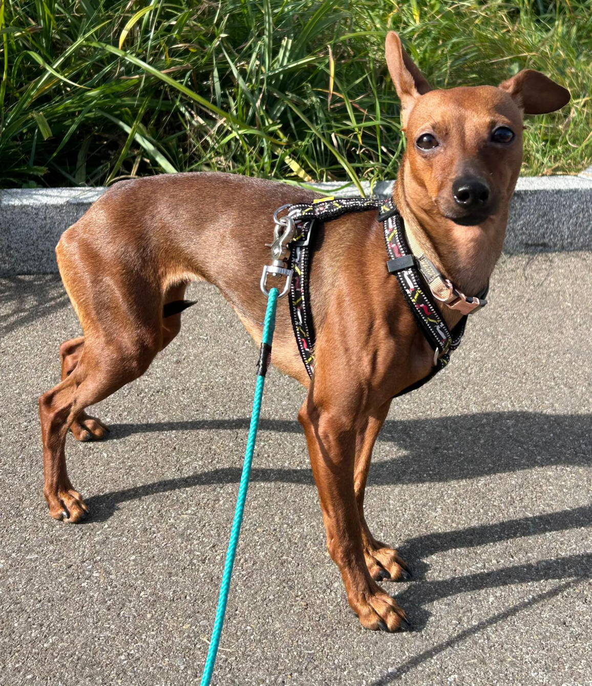 whatsapp_image_2025-10-30_at_21.05.21.jpeg whatsapp_image_2025-10-30_at_21.05.21.jpeg